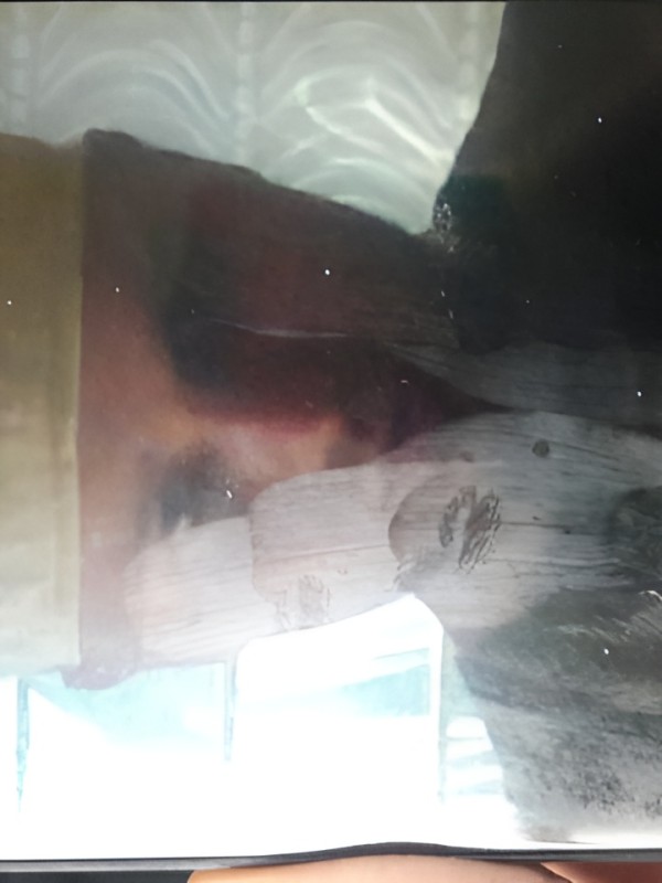 Тамара из Райчихинск